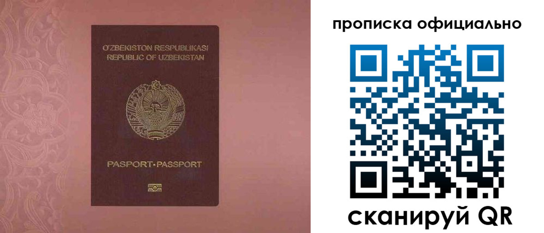 прописка гарантия в Кудрово